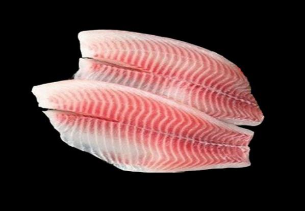 لیست قیمت خرید ماهی تیلاپیا 