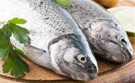تولید انواع ماهی پرورشی ایرانی