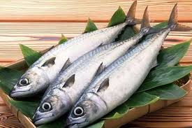 خرید عمده ماهی پرورشی خوراکی درجه یک